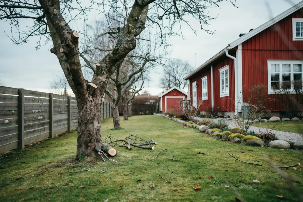 tr dbesk rning f r villa gare n r hur och vilka tr d som m r b st av r tt besk rning